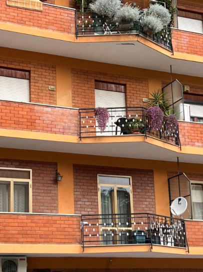 Appartamento Via Papa Paolo IV Carafa - Avellino LUXURY HOUSE Immobili in vendita ad Avellino